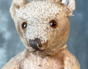 Vintage Steiff Hermann Petz Teddy Bear Toy Mohair Jointed Plush - Etsy