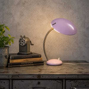 Puede incluir: Una lámpara de escritorio de estilo vintage con una pantalla ovalada de color lila claro y una base a juego. El cuello metálico flexible permite una iluminación ajustable. La lámpara está sobre una superficie metálica, junto a una pila de libros y un sacapuntas.