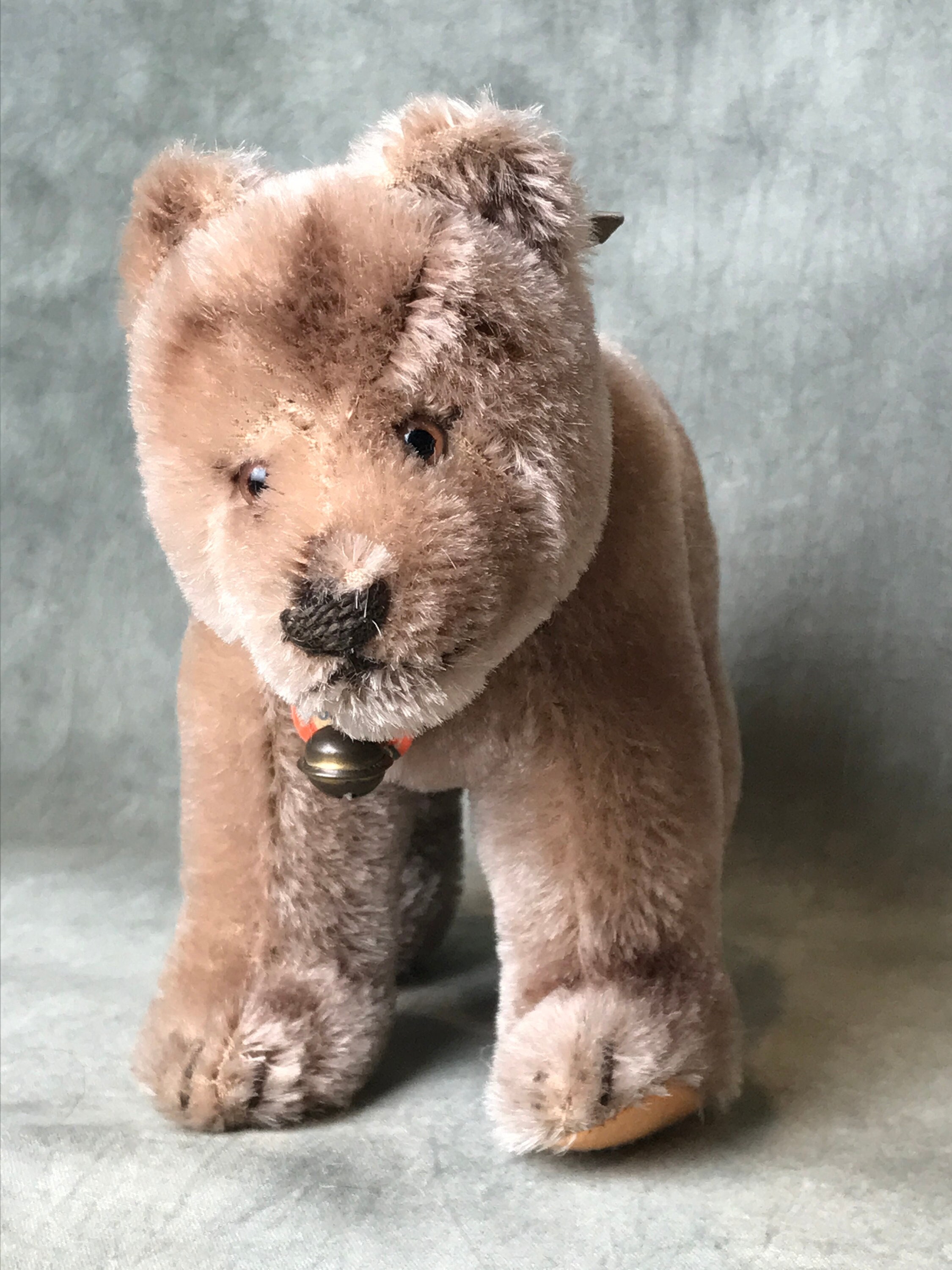 Steiff bear on wheels - Etsy 日本