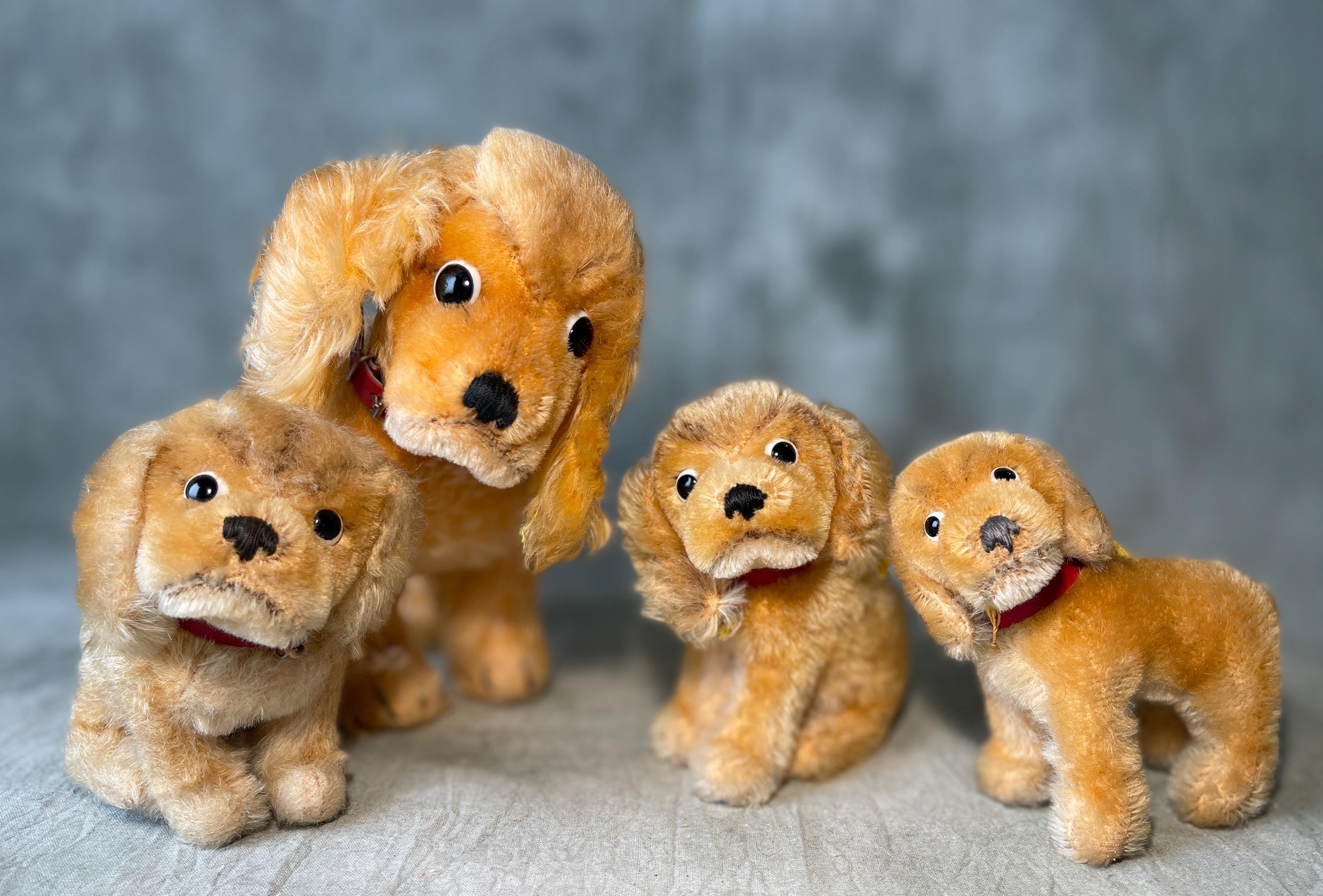 Vintage Steiff Smallest Revue SUSI Spaniel All Ids! - Etsy