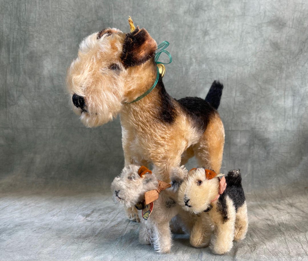 Steiff テリア　Airedale-Terrier Arry Steiff Airedale Terrier Terry - Etsy Canada