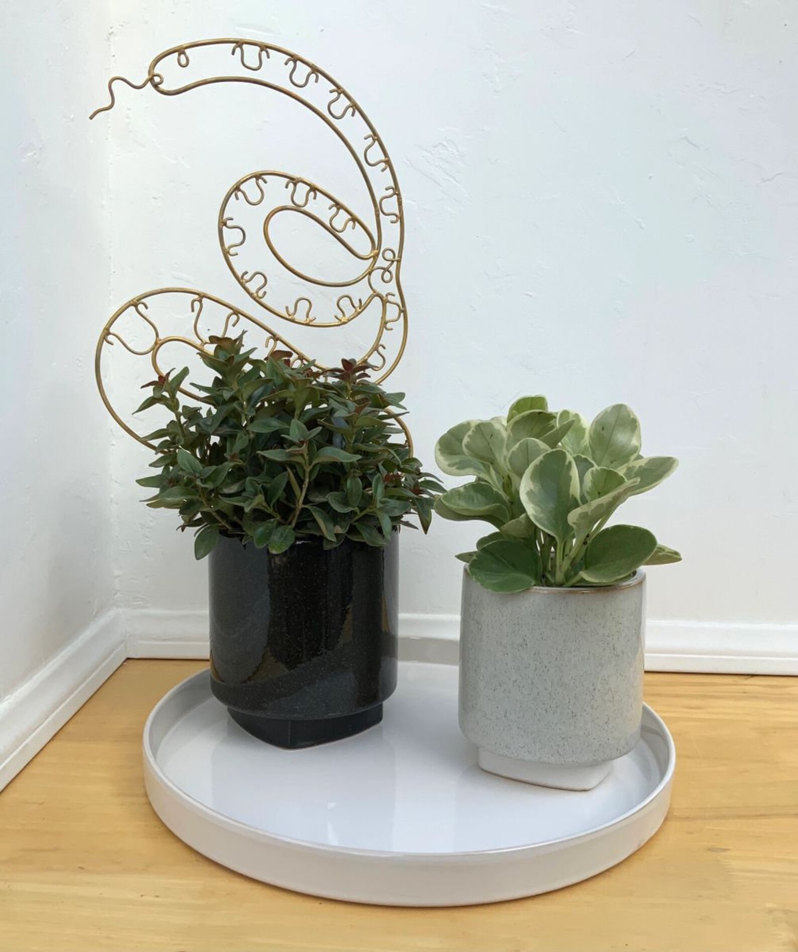Decorative Plant Sticks Etsy