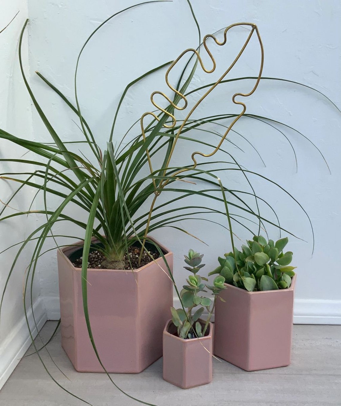 Decorative Plant Sticks Etsy