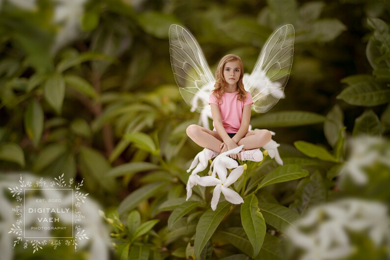 Pixie Garden Backdrop Painterly Fairy Digital Background
