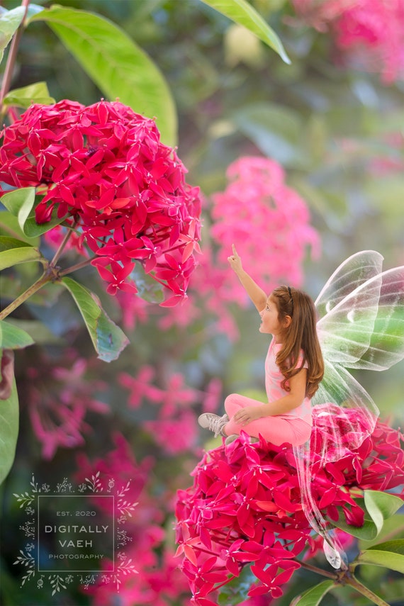 Pixie Garden Backdrop Painterly Fairy Digital Background