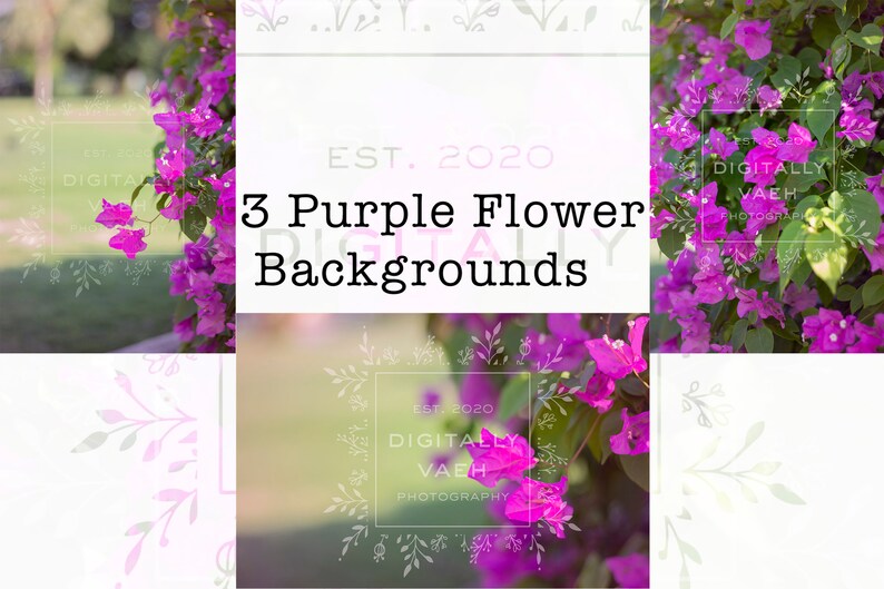 Pixie Garden Backdrop Painterly Fairy Digital Background