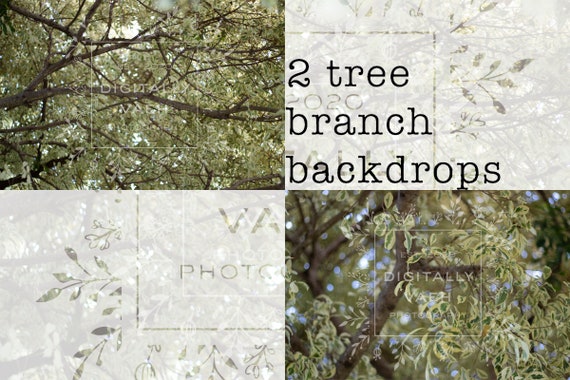 2 Spring Tree Branch Bokeh Digital Backgrounds Pack of Green Leaf Backdrops