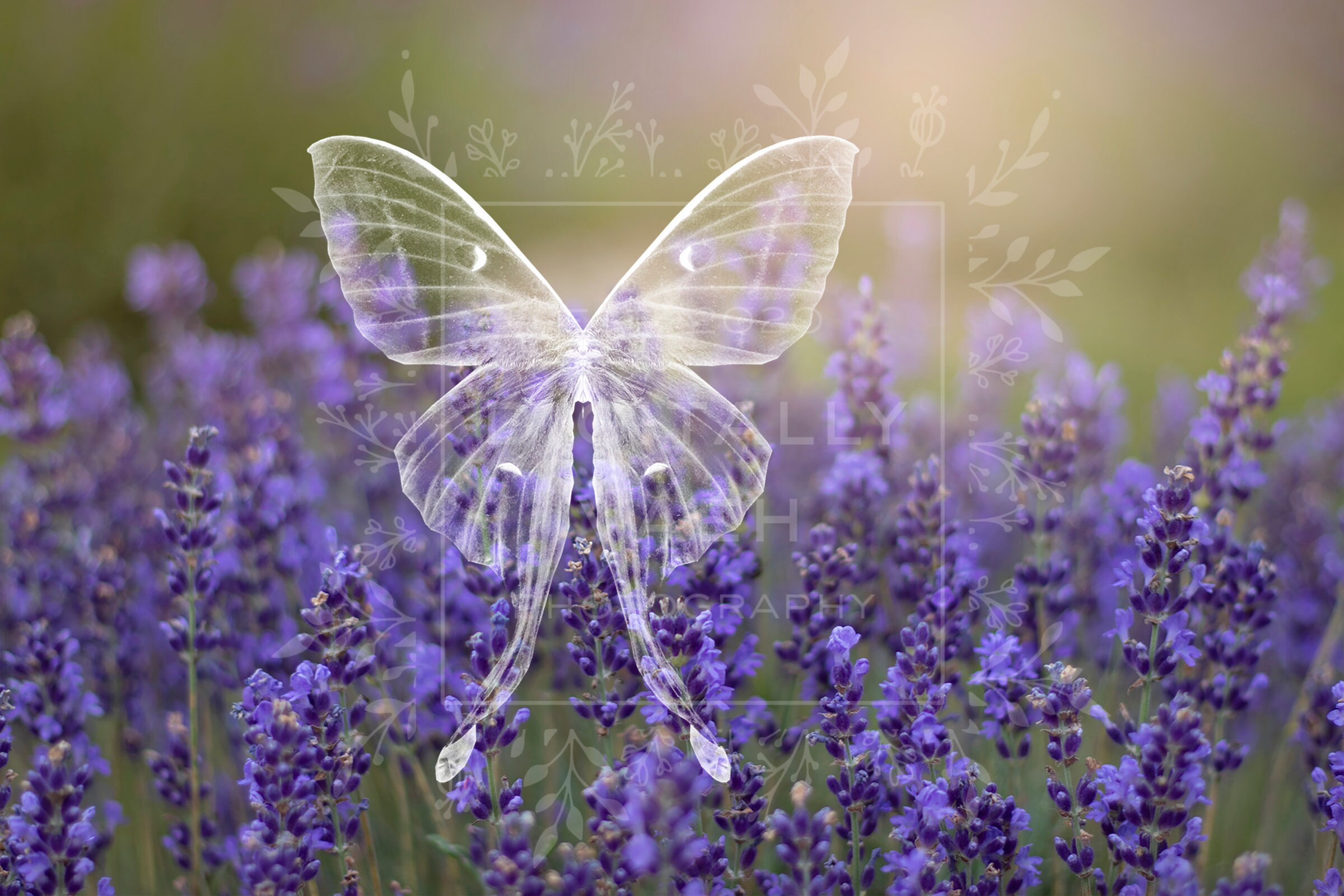 Magical Lavender Fairy Digital Background for Composite | Etsy