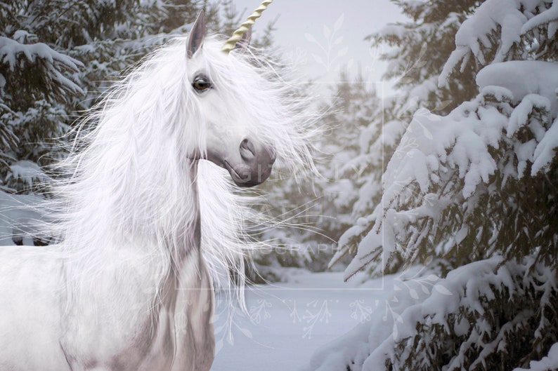 Magical Unicorn Winter Forest Digital Background Winter Snow | Etsy