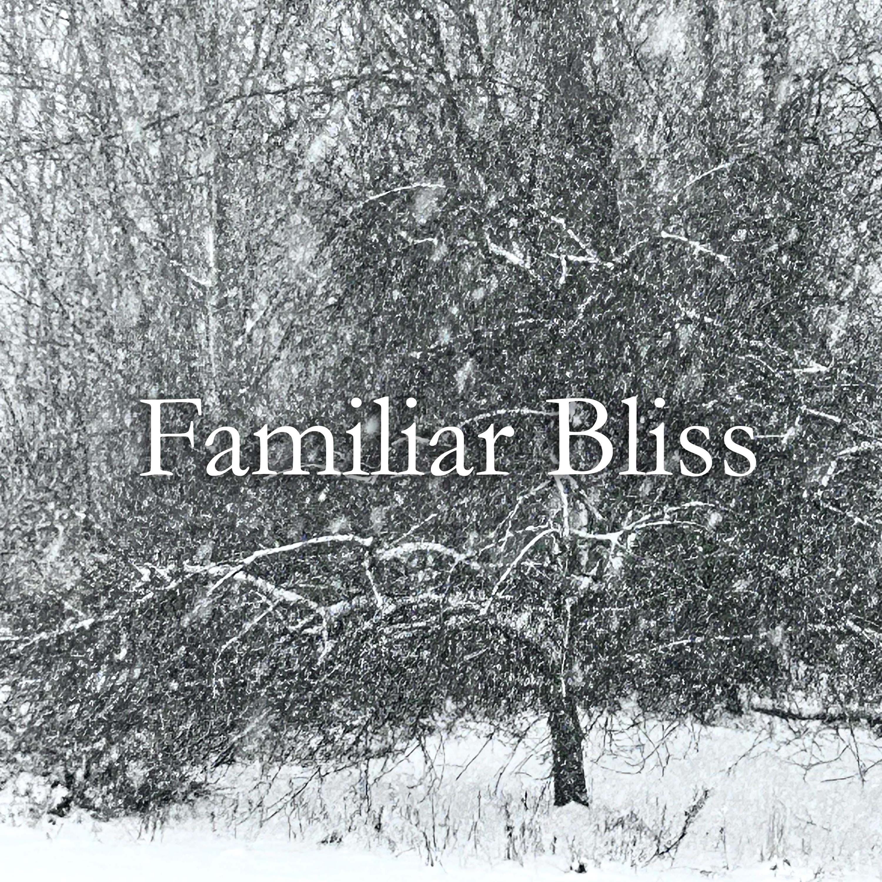 Familiar Bliss, Original Song, Winter, Lyrics and Music Written