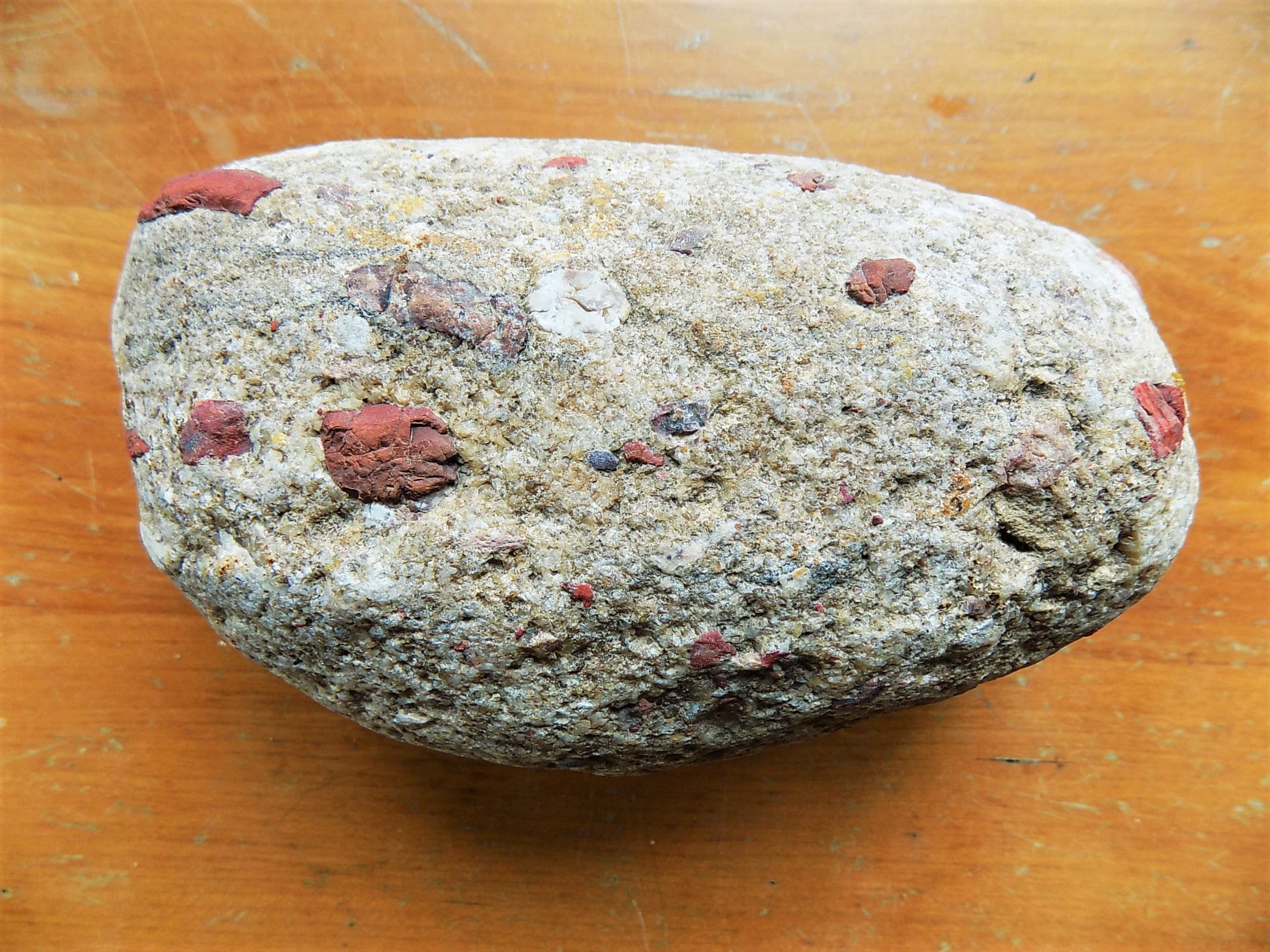 Large Michigan Pudding Stone Rough Unpolished for Lapidary photo picture