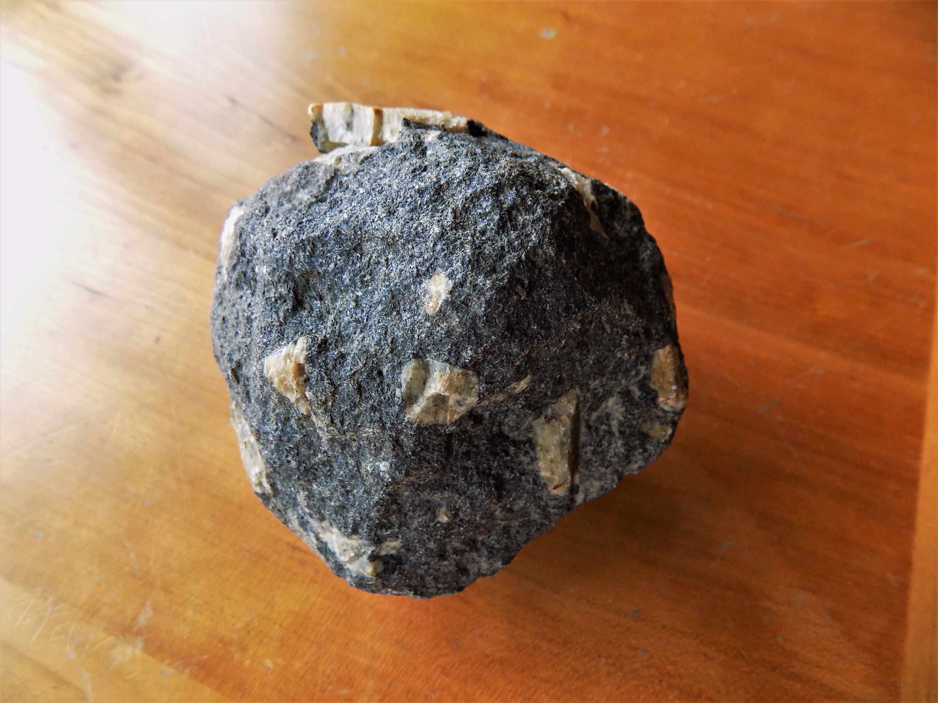 Dark Michigan Pudding Stone, Conglomerate, Rough, Unpolished, for