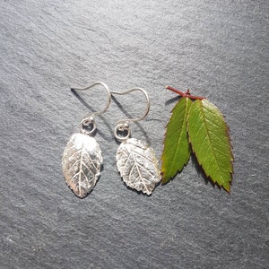 Silver Rose leaf drop earrings, (999 purity), real leaf earrings, handmade in UK, recycled silver, great postal gift, rose gift