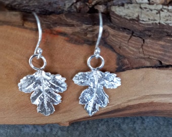 Silver Hawthorn leaf drop earrings, real leaf earrings in silver, handmade in the UK, postal gifts, silver drop earrings, nature lover gift