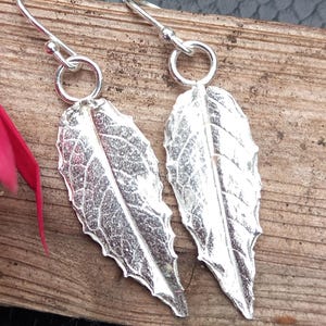 Recycled Silver Fuchsia Leaf Earrings: Handmade Plant Lover Gift