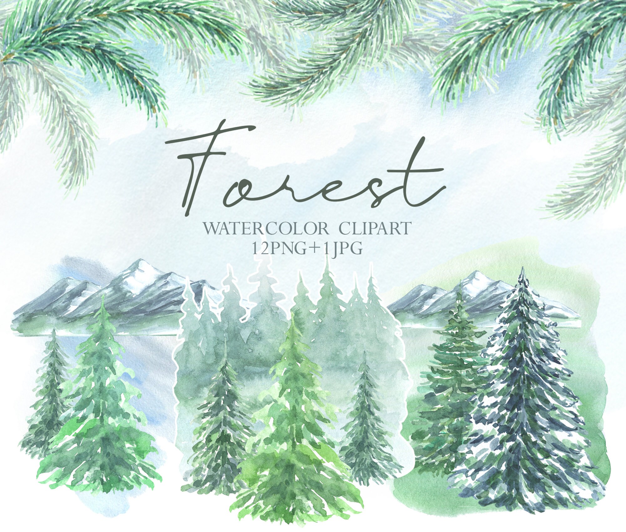 Watercolor Forest Clipart Evergreen Trees Clipart Pine Tree Etsy Canada