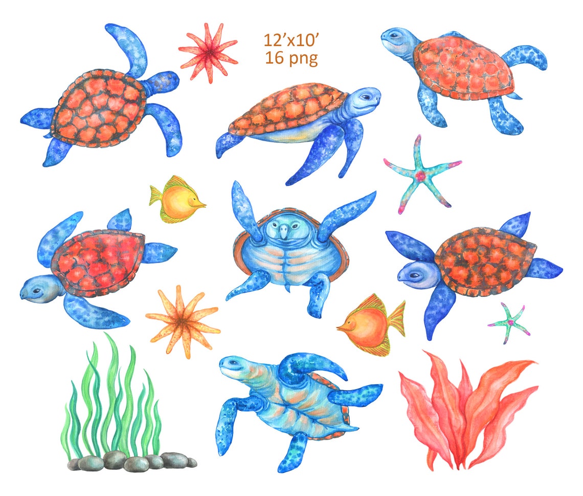 Sea turtle clip art Ocean clipart Sea Creatures Starfish | Etsy