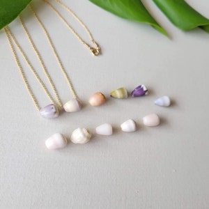 Op de afbeelding: Een set schelpkettingen met verschillende kleuren en vormen. De kettingen zijn gemaakt van gouden ketting en hebben verschillende schelp hangers, waaronder roze, witte, paarse en gele schelpen.