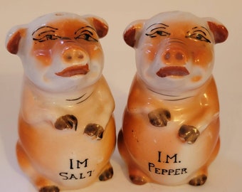 Topf Pals Salt & Pepper Pots Shaker beziehungsweise Set-Häschen Kaninchen-British Wildlife 
