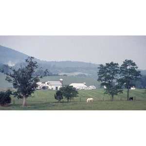 Rural Farm & Landscape, Rural Virginia
