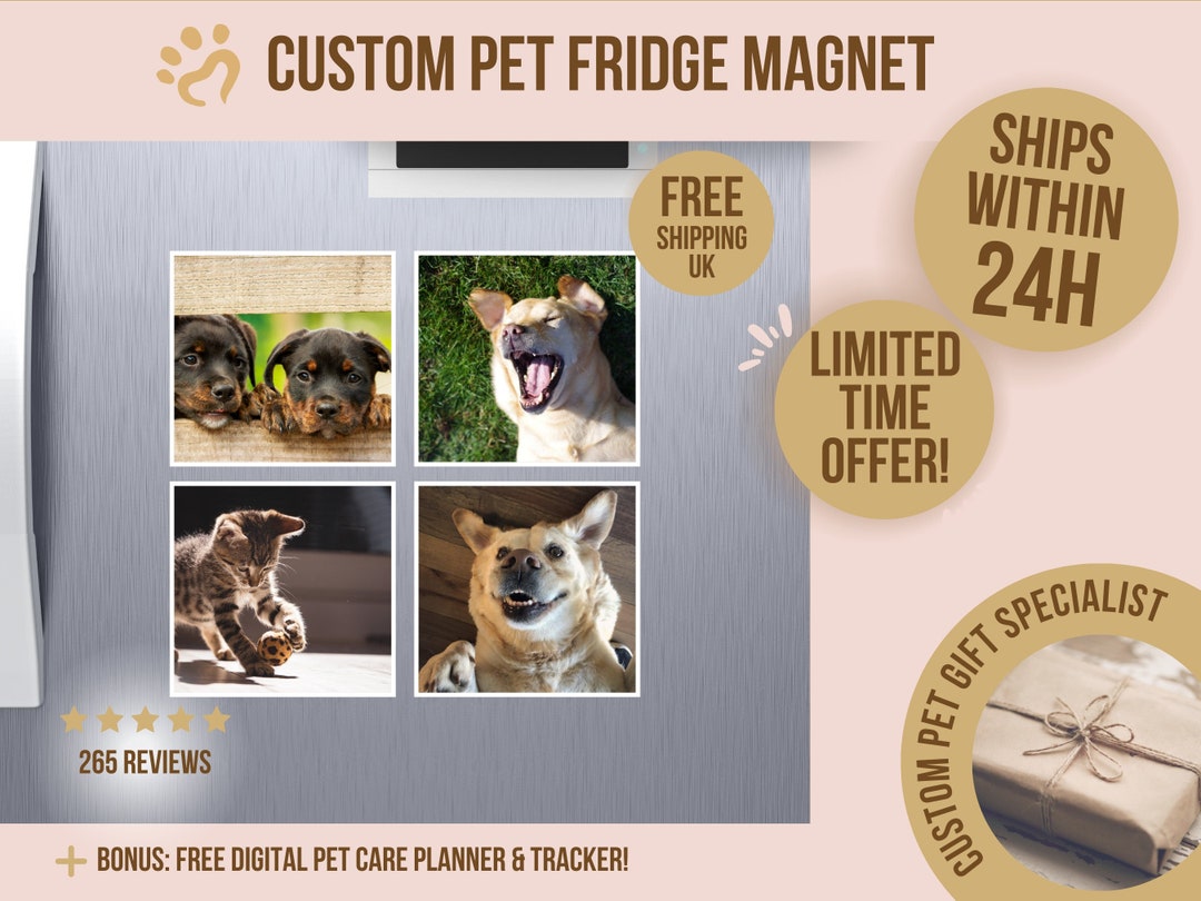 Charming Paws Personalized Pet Photo Fridge Magnet, Custom Pet Magnet ...