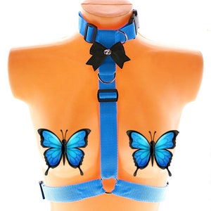 Handmade Nylon Pet Harness: Blue Webbing, Detachable Collar, Satin Bow