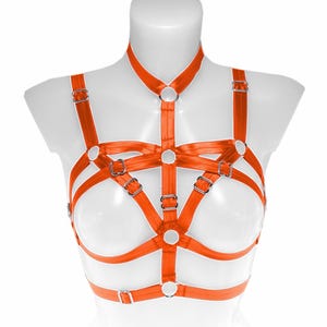 May include: Orange lingerie harness with silver metal rings and buckles.