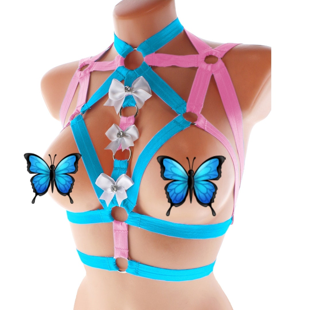 Pink Laces Harness Style Lingerie