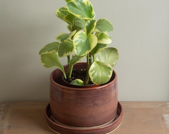 Handmade Pottery - Ceramic Planter, Medium Clay Pot in Mesa Red Glaze with Drainage Hole and Drip Tray