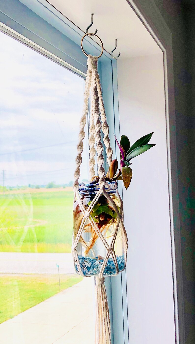 Macrame Hydroponic Plant Hanger With Mason Jar Etsy
