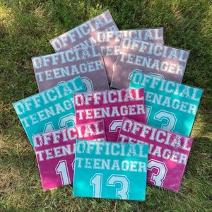 May include: A set of nine teal and pink wooden signs with the text "Official Teenager" and the numbers 1, 2, and 3. The signs are arranged in a pile on a green grassy surface.