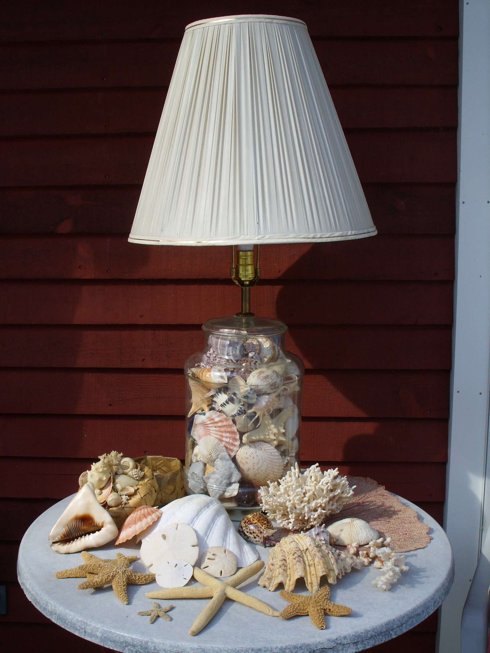 Seashell Lamp & Shell Collection Etsy