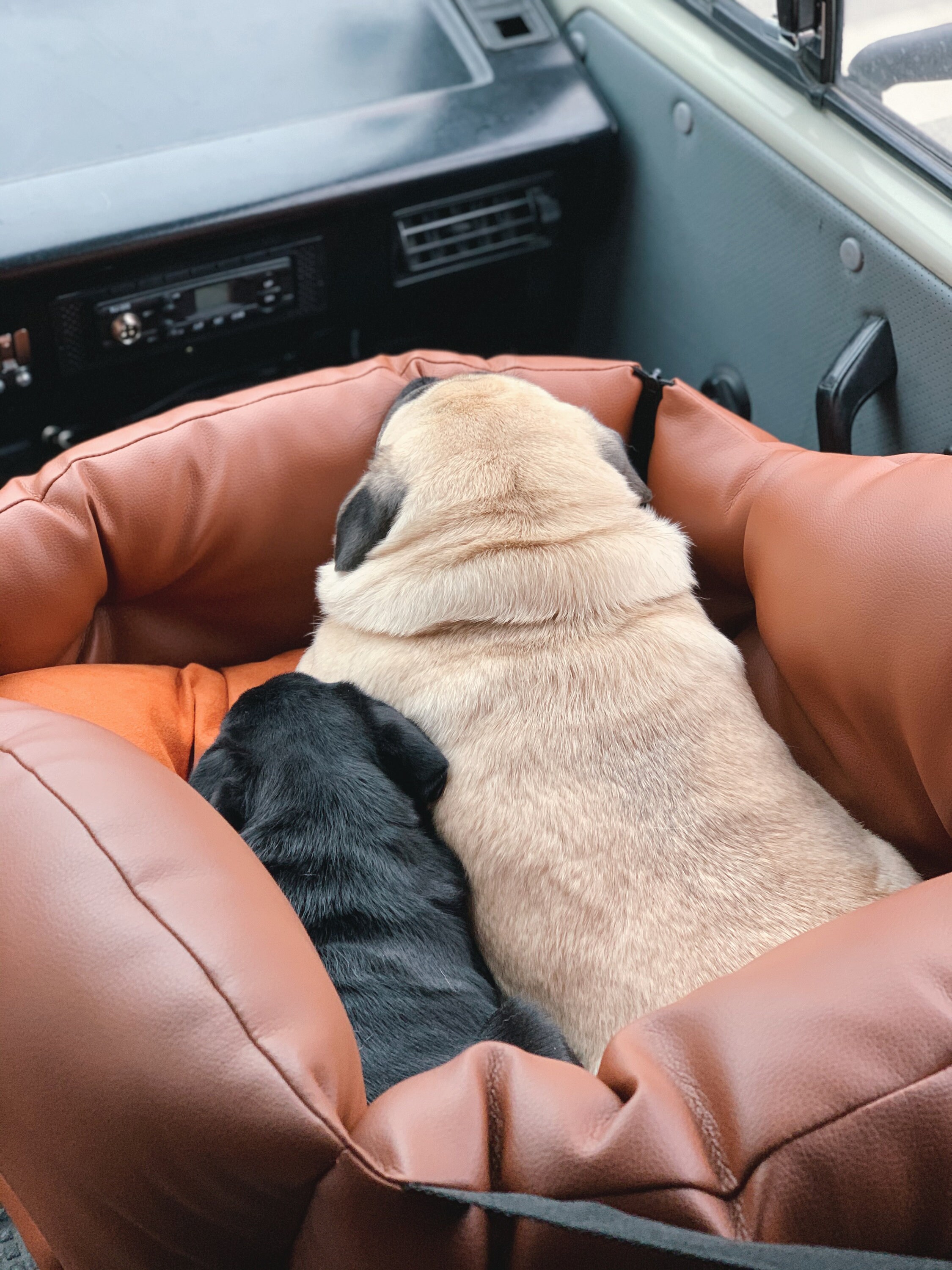 Dog car seat Dog Travel Car Seat Dog Car Booster Seat Etsy