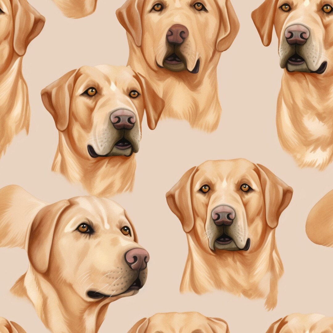 Lab / Labrador Retriever / Dog / Chocolate / Black / Fabric / Journal ...