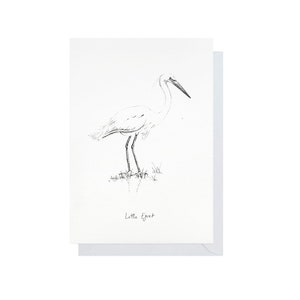 Cartão de felicitações da Garça Pequena. Pássaros de Norfolk. Cartão A6 ilustrado.