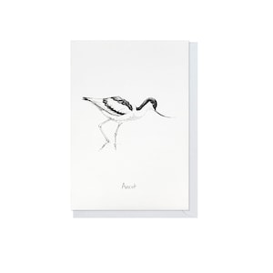Cartão de felicitações de alfaiate. Pássaros de Norfolk. Cartão A6 ilustrado.