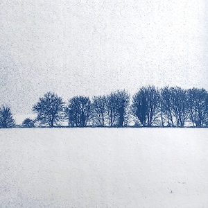 landscape under the snow Auvers sur oise / France / large cyanotype format