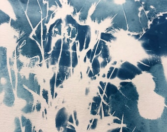 original cyanotype - nature - abstract
