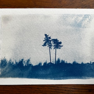 Pode incluir: Uma cianotipia de duas árvores em silhueta contra um céu azul claro. As árvores estão no centro da imagem e são cercadas por uma floresta azul escura.