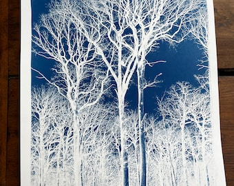 Landscape with trees / large format cyanotype