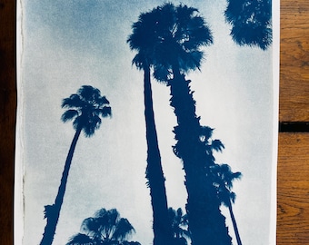 Palm tree  / Palmier - Cyanotype grand format