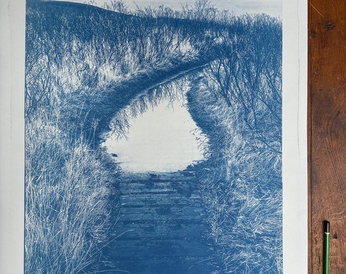 Landscape Iceland - Water drop - original cyanotype print - limited edition