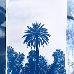 Peut inclure: Une impression cyanotype sur papier blanc présentant la silhouette bleu profond d'un grand palmier central entouré de palmiers plus petits et d'un feuillage dense. L'image utilise une palette de couleurs bleu et blanc monochrome.