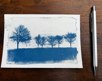 Sunprint, cyanotype, trees