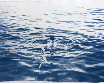 The dive - original cyanotype print - limited edition