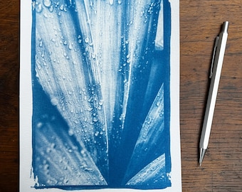 Blue plant - original cyanotype print