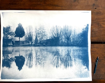 Marsh in Winter / Large Format Cyanotype
