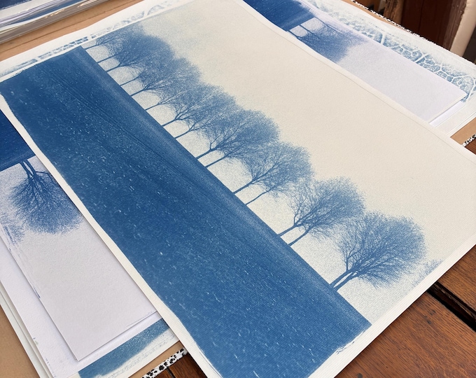 Vexin trees - original cyanotype print - limited edition