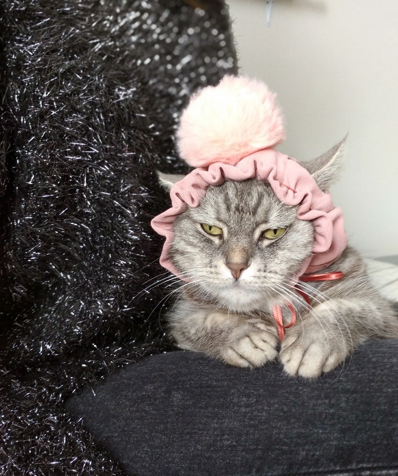 chapeau pour chat