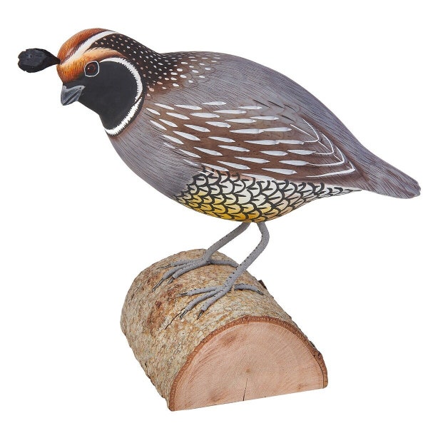 California Quail - painted wooden carving